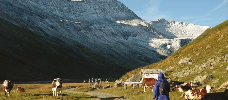 Classic Tour du Mont Blanc in Comfort - Walkers' Britain - France - Image 9