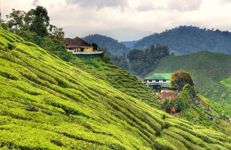 Classic tour from Kuala Lumpur to Penang trip - alternative tour available