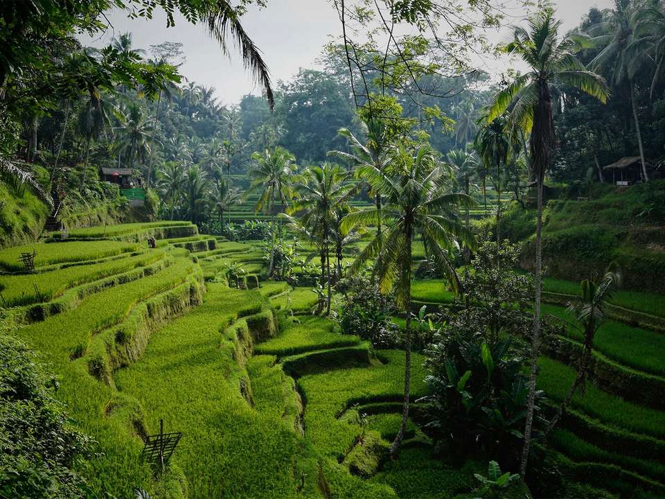 Classic Vietnam & Bali - 11 days - On The Go Tours - Vietnam - Image 11