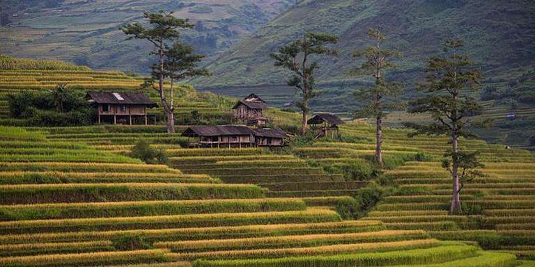 Classic Vietnam: Sapa to Ho Chi Minh trip - alternative tour available