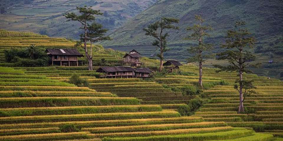 Classic Vietnam: Sapa to Ho Chi Minh - G Adventures - Vietnam - Image 1