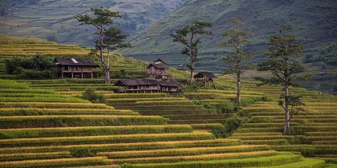 Classic Vietnam: Sapa To Ho Chi Minh - October 2026