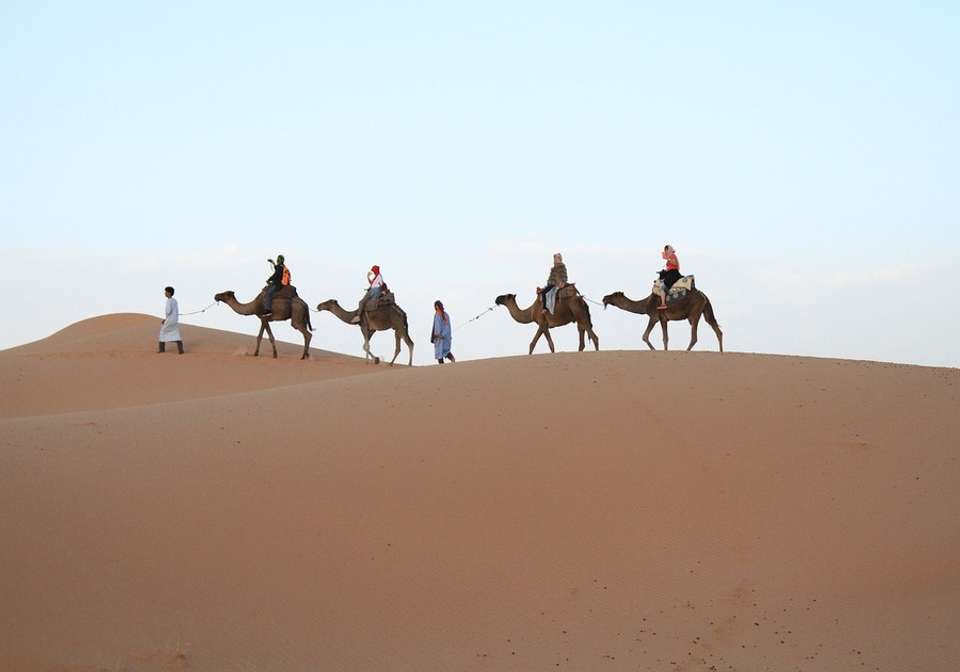 Classical Grand Tour of Morocco - Indus Travels - Morocco - Image 6