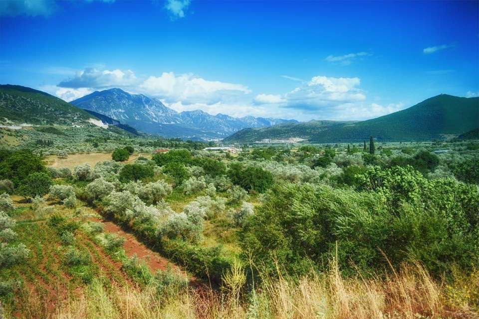 Classical Greece, Private Tour - Destination Services - Greece - Image 14