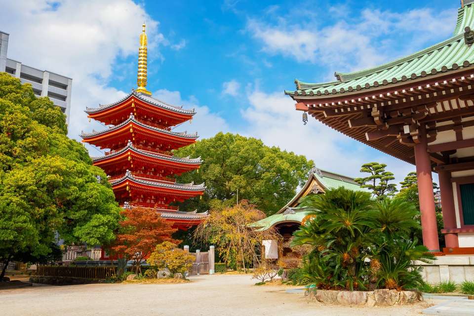 Classical Korea and Japan End Tokyo - Europamundo - South Korea - Image 8