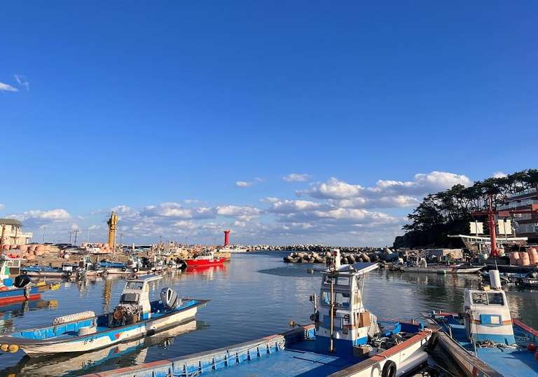 Highlights Of Korea and Japan trip - alternative tour available
