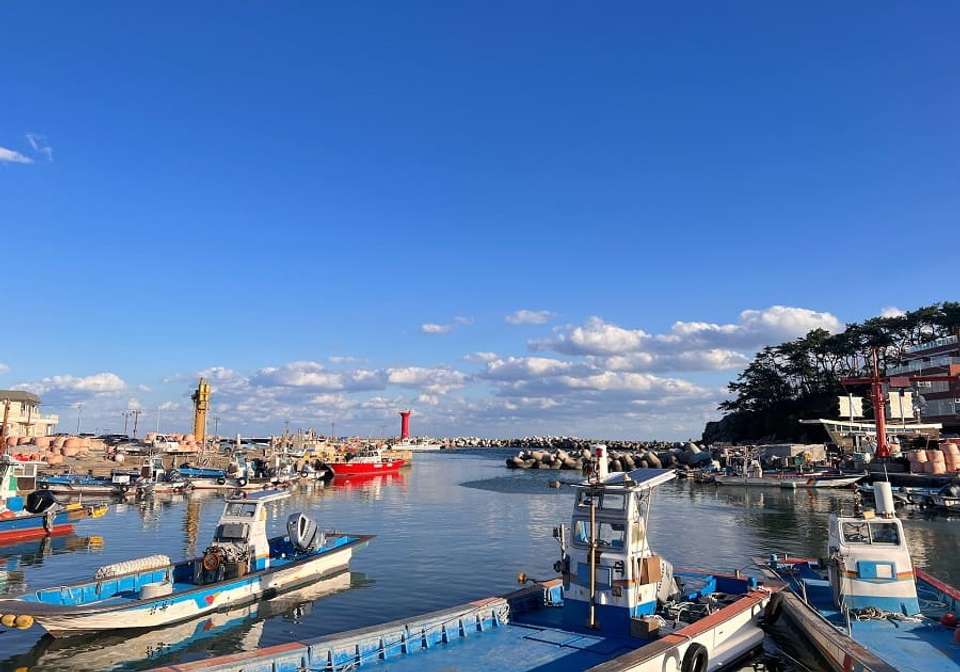 Highlights Of Korea and Japan - Indus Travels - South Korea