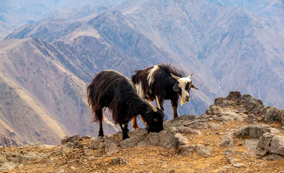 Climb Morocco's Mt Toubkal - Exodus Adventure Travels - Morocco - Image 16