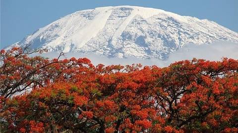 Mount Kilimanjaro Climbing 6-day Rongai Route - February 2027