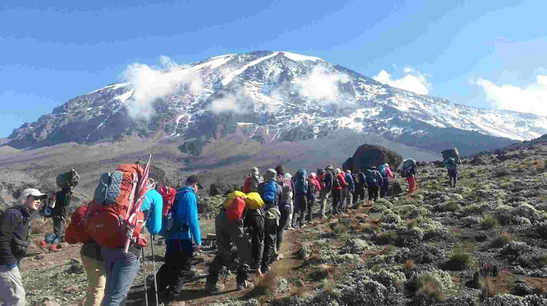 Mount  Kilimanjaro Trekking 5-Day Marangu Route