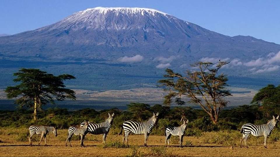 Mount Kilimanjaro Trekking 6-Day Machame Route - Dahlia Africa - Tanzania - Image 3