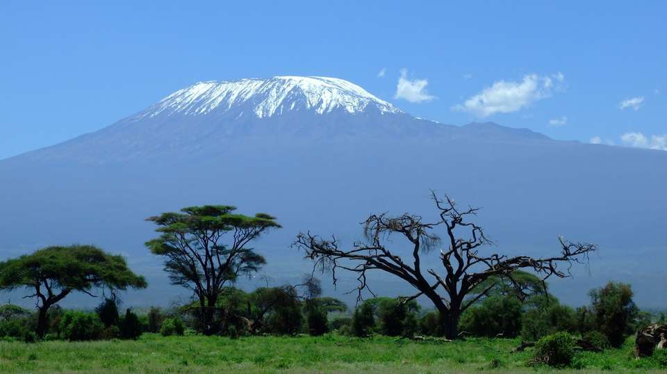 Climbing Kilimanjaro Lemosho Route in 10 Days - Zara Tours - Tanzania - Image 4