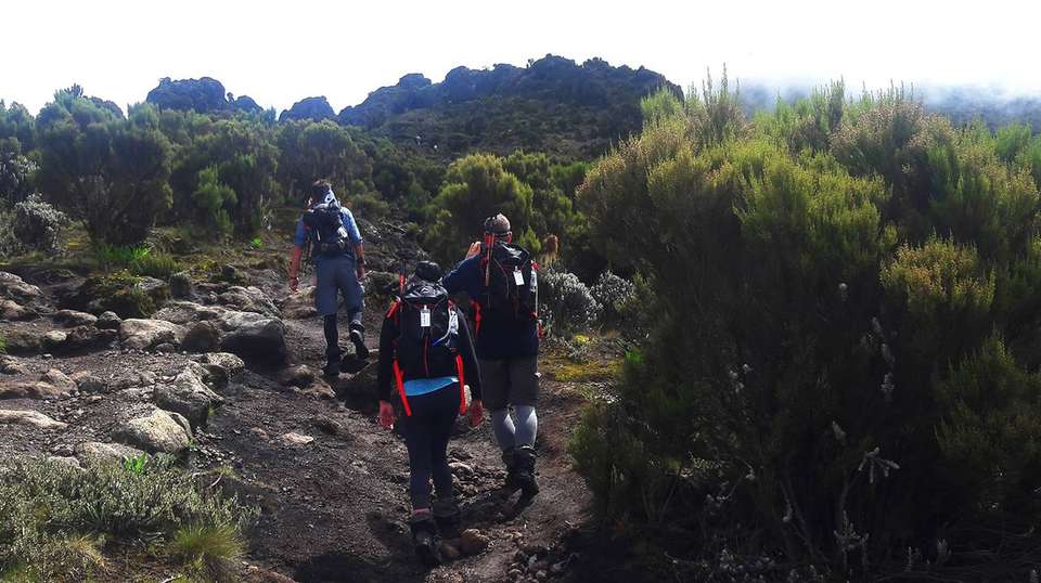 Climbing Kilimanjaro Lemosho Route in 10 Days - Zara Tours - Tanzania - Image 9