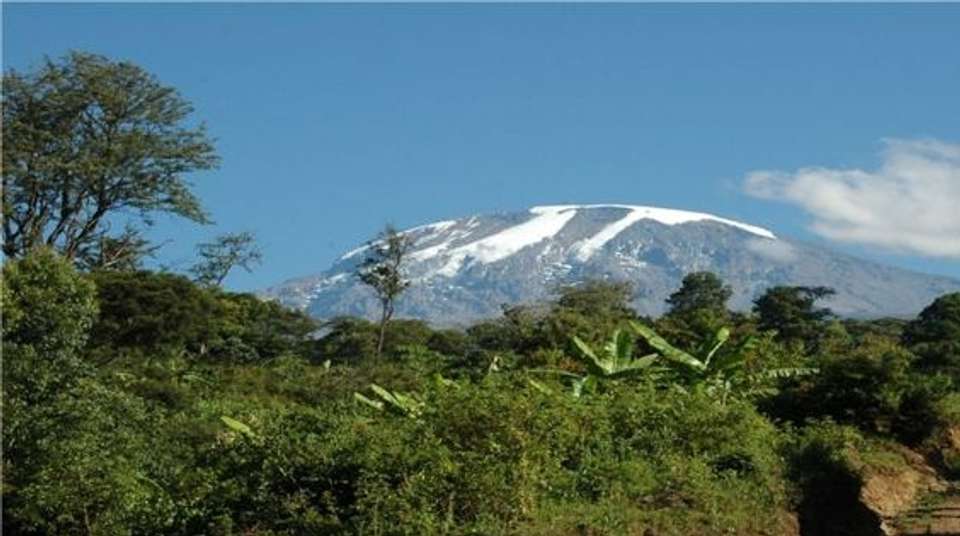 Mount Kilimanjaro Climbing 7-Day Lemosho Route - Dahlia Africa - Tanzania - Image 3