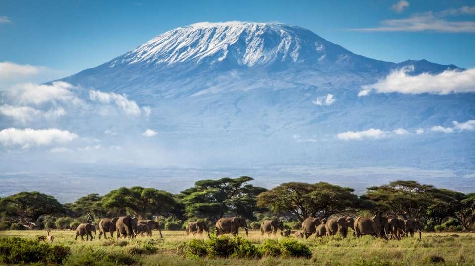 Kilimanjaro Mountain Trekking 7-Days Machame Route - undefined - Image 2