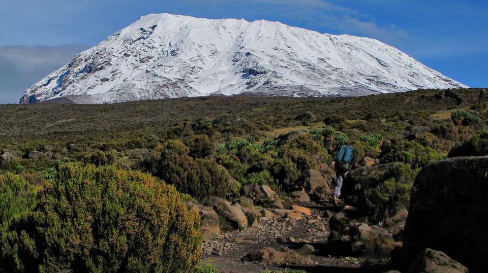 Kilimanjaro Mountain Trekking 7-Days Machame Route - undefined - Image 3