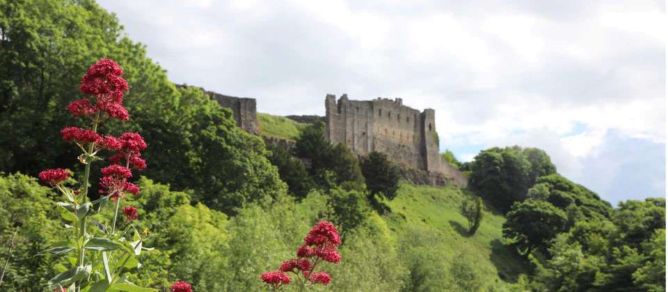 Coast to Coast: Walk Kirkby Stephen to Robin Hood's Bay - 11 Days - World Expeditions - England - Image 9