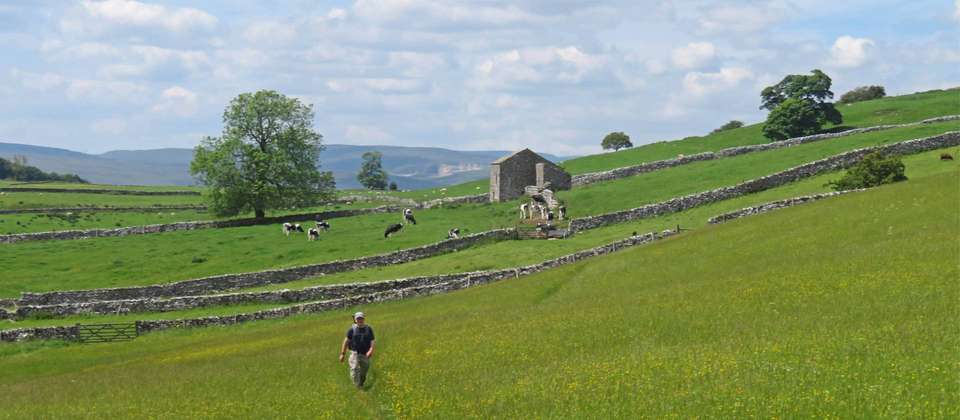 Coast to Coast: St Bees to Kirkby Stephen - 8 Days - Walkers' Britain - England - Image 8