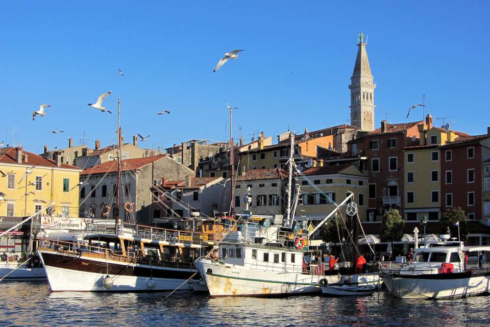 Coastal Croatia: Porec to Pula Cycling - undefined - Image 2