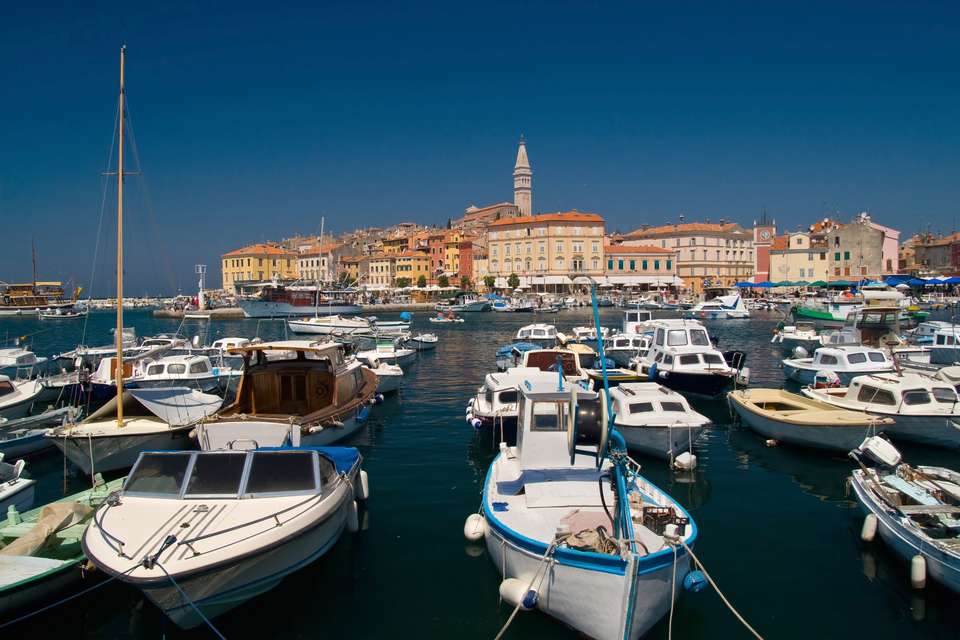 Coastal Croatia: Porec to Pula Cycling - undefined - Image 9