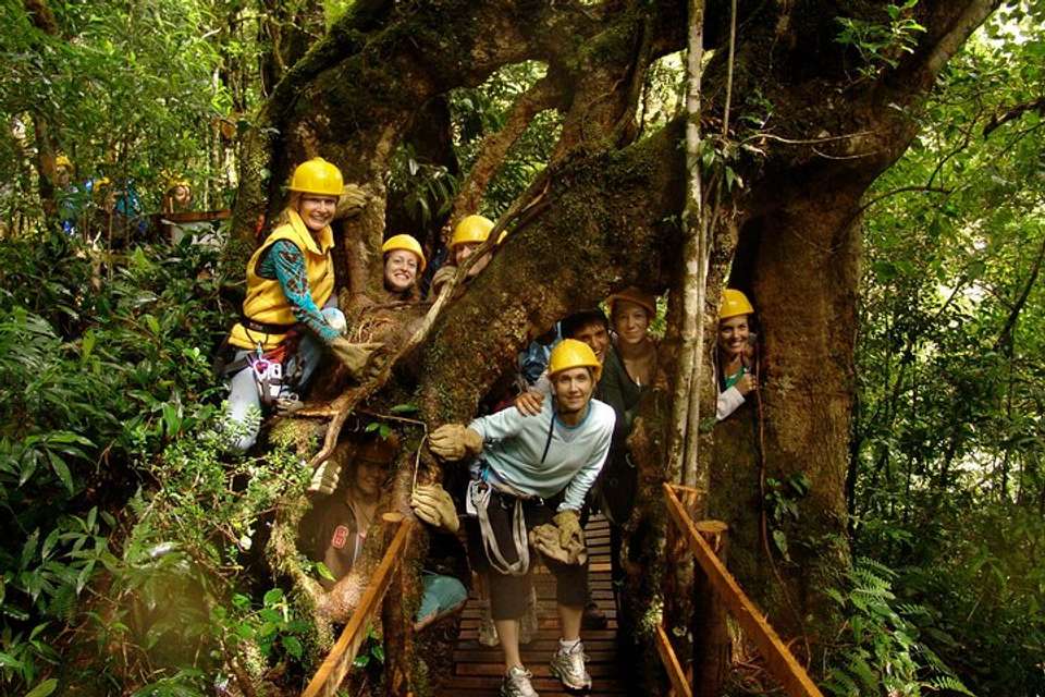 Coffee & Adventure From San Jose - Destination Services - Costa Rica - Image 3