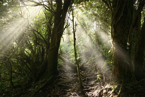 Image 5 of 7