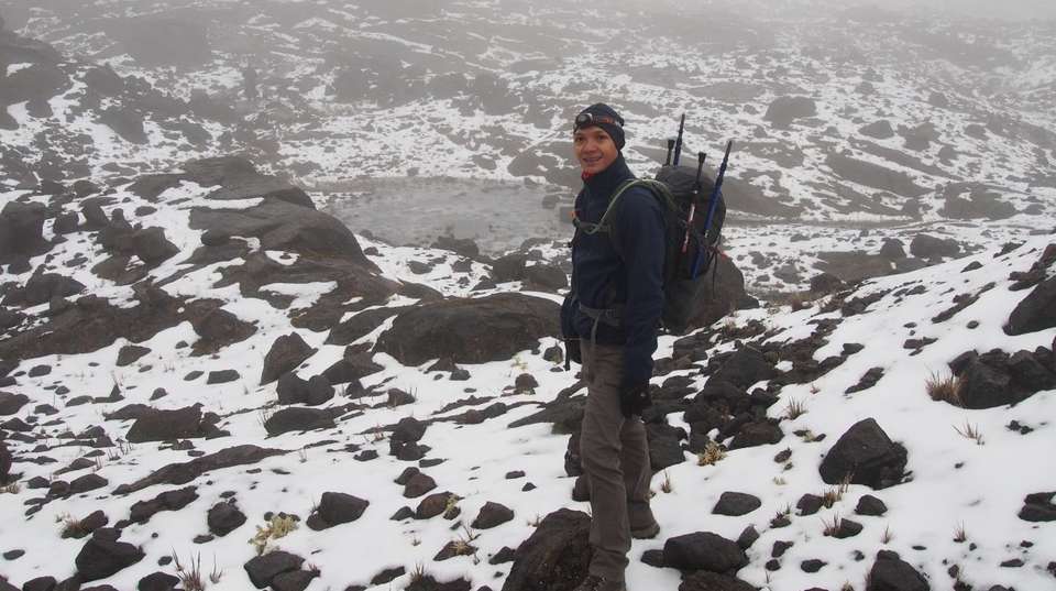 Coffee and Mountains: Eje Cafetero and Los Nevados - Uncharted Earth - Colombia - Image 3