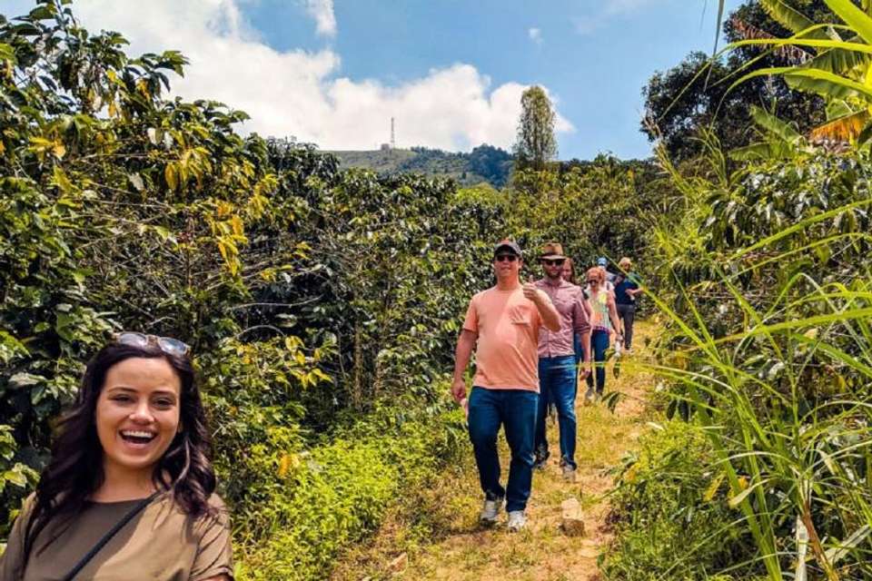 Coffee Farm Tour and Tasting Experience - Tangol Tours - Colombia - Image 3