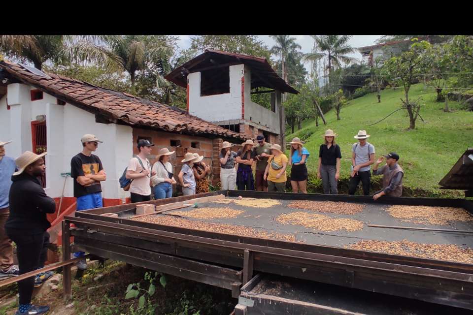 Coffee Farm Tour and Tasting Experience - Tangol Tours - Colombia - Image 4