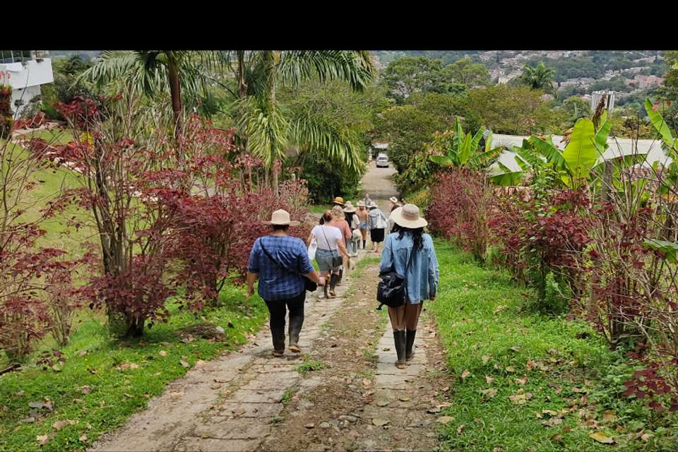 Coffee Farm Tour and Tasting Experience - Tangol Tours - Colombia - Image 6
