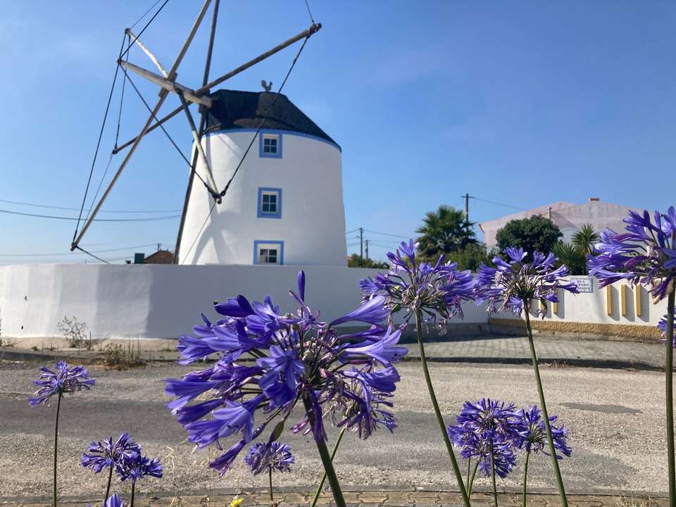 Coimbra to Lisbon Cycling - Exodus Adventure Travels - Portugal - Image 9