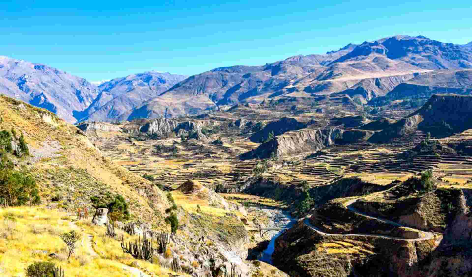 Colca Canyon Day Trip