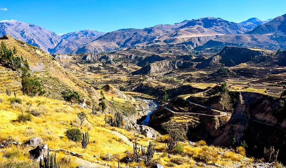 Colca Canyon Trekking 2D/1N - Bamba - Peru - Image 3