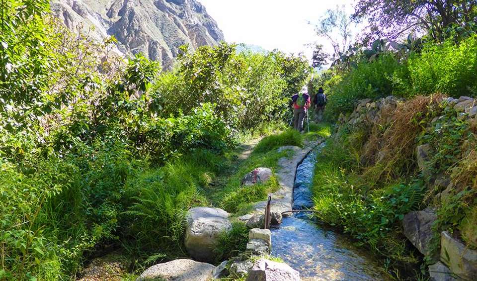 Colca Canyon Trekking 3D/2N - Bamba - Peru - Image 4