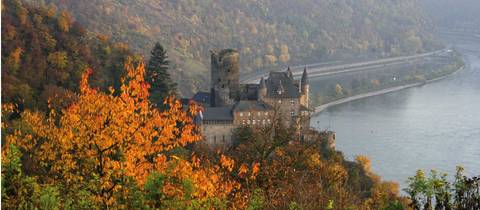 Guided And Escorted Tours: Cologne To Mainz By Bike And Barge