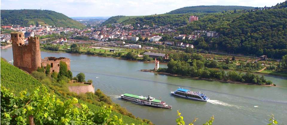Cologne to Mainz by Bike and Barge - Utracks - Germany - Image 7