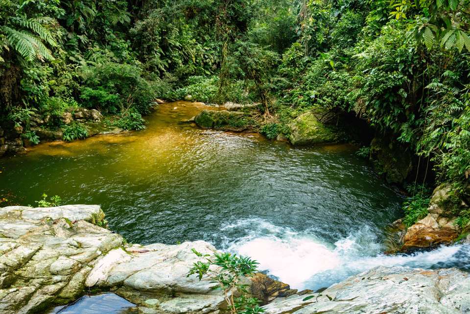 Colombia Adventure & Lost City Trek - Intrepid Travel - Colombia - Image 6