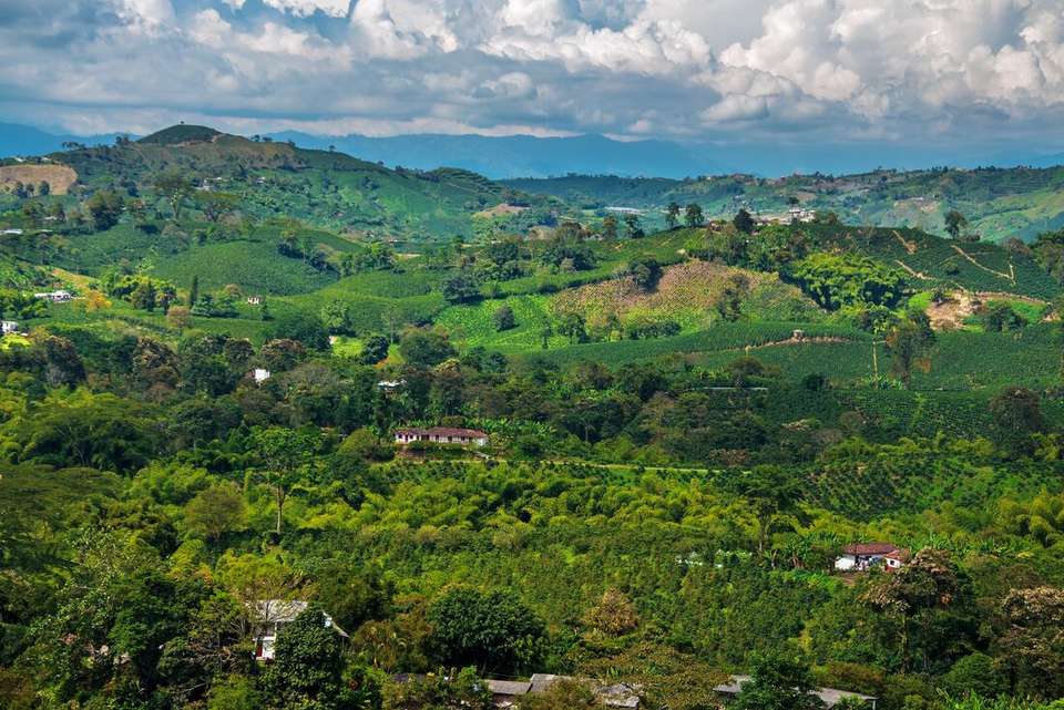 Colombia Adventure & Lost City Trek - Intrepid Travel - Colombia - Image 8