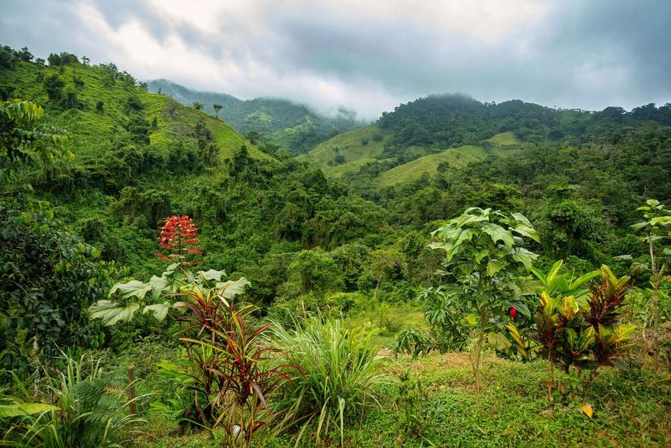 Colombia Adventure & Lost City Trek - Intrepid Travel - Colombia - Image 12