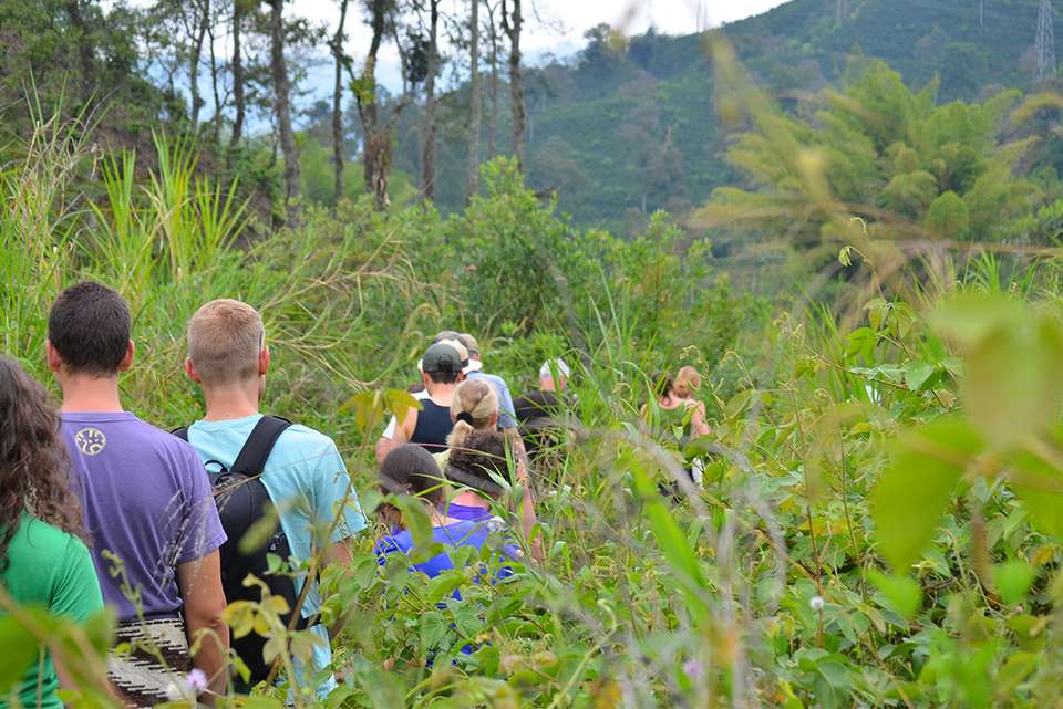 Colombia Adventure & Lost City Trek - Intrepid Travel - Colombia - Image 15