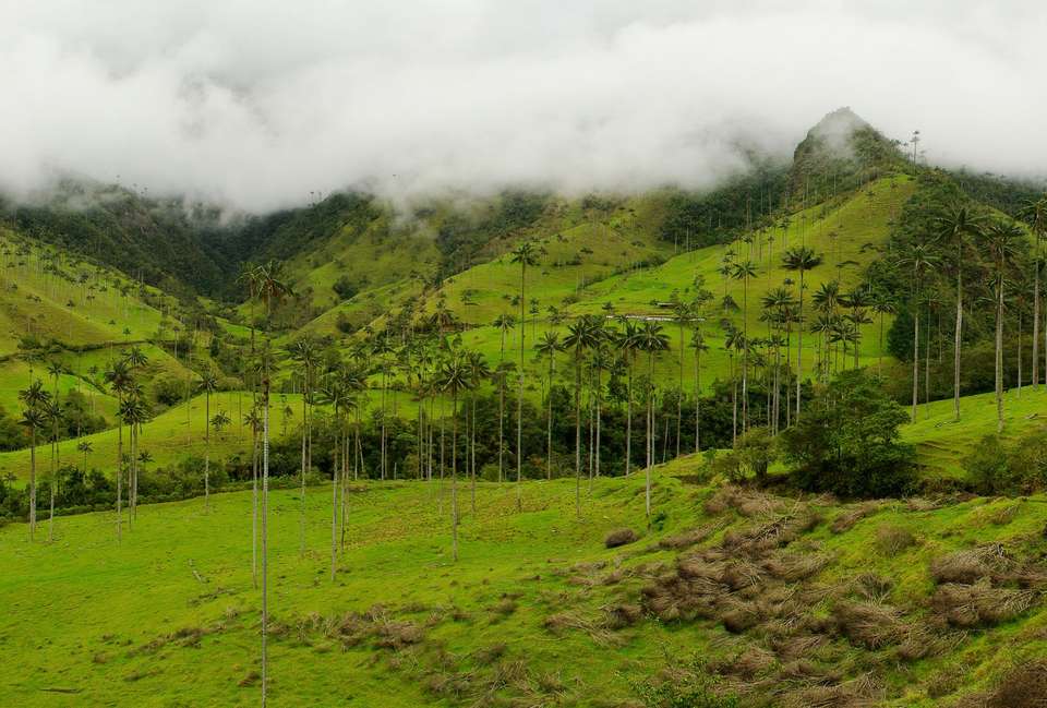 Colombia Discovery - 15 days - On The Go Tours - Colombia - Image 5