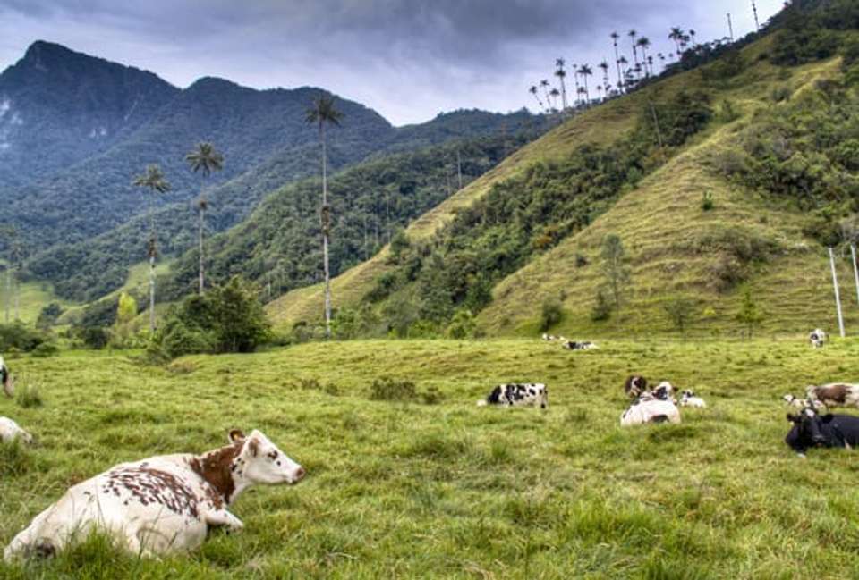 Colombia Discovery - 15 days - On The Go Tours - Colombia - Image 6
