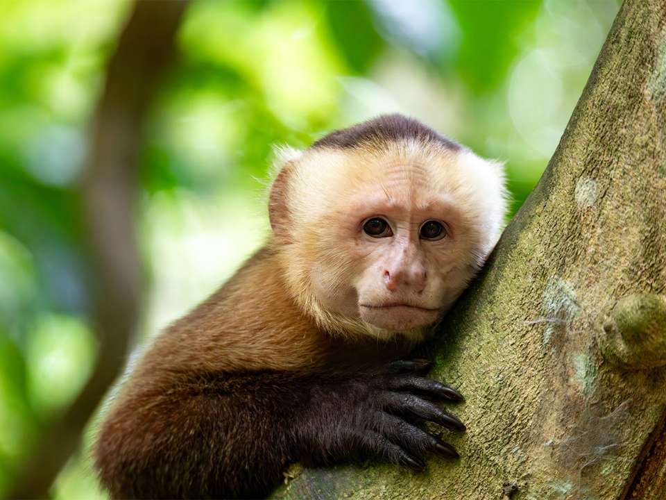 Colombia Discovery - 15 days - On The Go Tours - Colombia - Image 9
