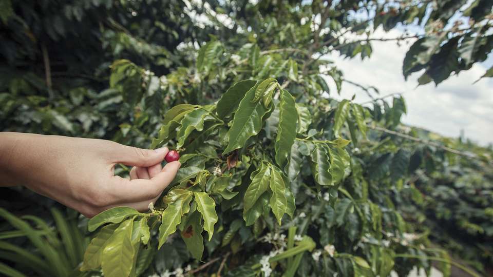 Journeys: Explore Colombia - G Adventures - Colombia - Image 2