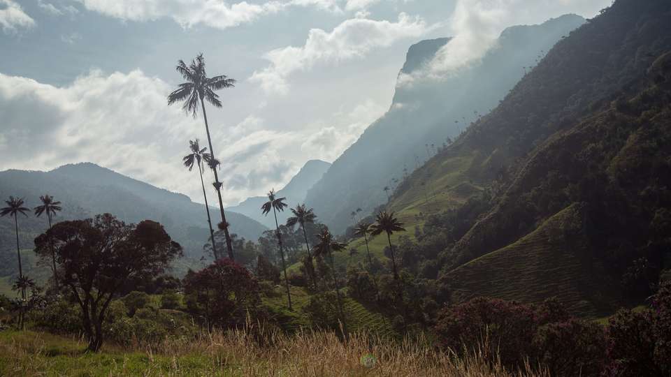 Journeys: Explore Colombia - G Adventures - Colombia - Image 5