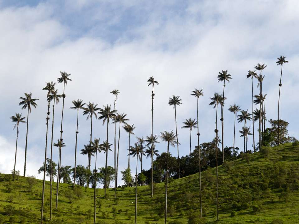 Journeys: Explore Colombia - G Adventures - Colombia - Image 12