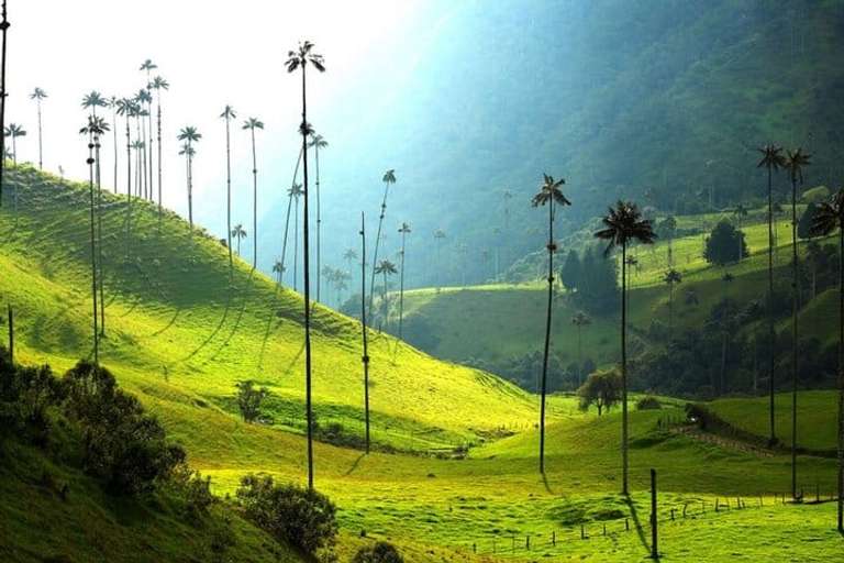 Colombia Luxury Discovery - 8 days trip - alternative tour available