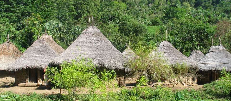 Colombia's Lost City Trek - undefined - Image 9
