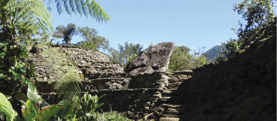 Colombia's Lost City Trek - undefined - Image 10