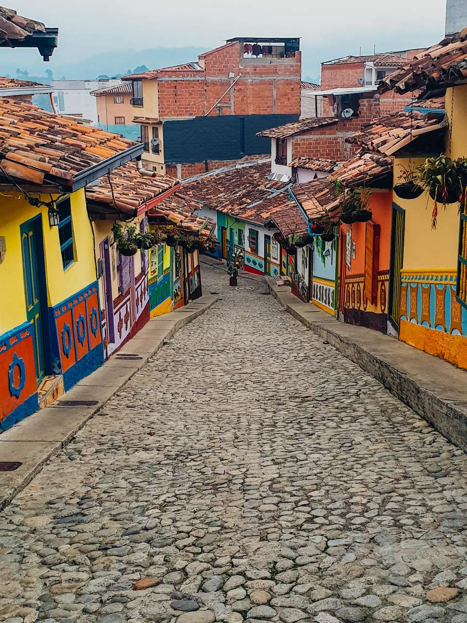 Colombia Uncovered - Trutravels - Colombia - Image 10